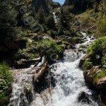 Horses’ Valley in Rodnei Mountains