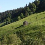 Rodnei National Park near Borsa Resort