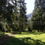 red triangle tourist marker – Horses Waterfall