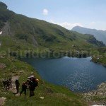 Camping sites in Fagaras Mountains –  Capra lake