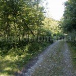 Road leading to Marii Valley – Retezat Mountains
