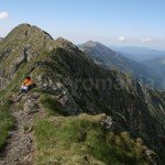 Vistea – Moldoveanu Ridge- Crossing the Ridge of Fagaras Mountains