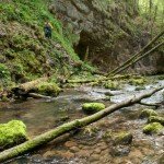 Tourist Attractions in Romania – Galbenei Gorges – Apuseni Mountains
