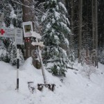 Ceahlau National Park in Neamt county – travel to Romania