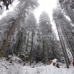 Guided tours in Ceahlau Mountains – Travel to Romania