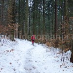 Hiking in Romania – Trails in Ceahlau Mountain
