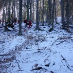 Descending from Gugu refuge – Godeanu mountains