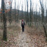Hiking Vacations in Romania – Apuseni Mountains