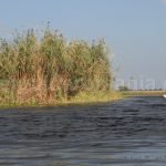 best-time-to-visit-danube-delta-travel-to-romania