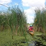 danube-delta-guided-trips-travel-guide-romania