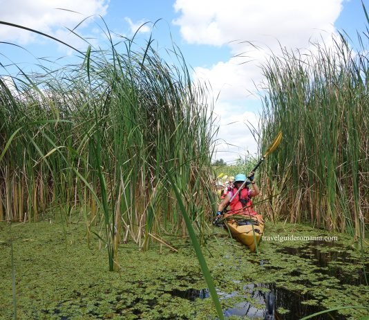 Danube Delta – with the kayak in a unique european habitat Danube Delta guided trips