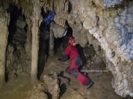 Sugau cave – caving guided trips Caves in Romania - Travel Guide Romania