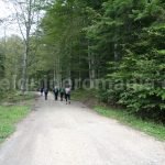 Hiking trails in Bucegi mountains