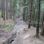 Mountain trails in Bucegi Natural Park – Romania