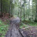 Trails in Bucegi mountains