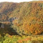 Crisul Repede Gorge between Suncuius and Vadu Crisului