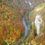 Crisul Repede Gorge in autumn