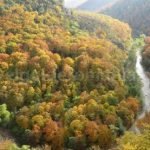 Crisul Repede Gorge viewpoint