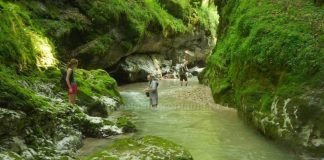 Jgheabului Gorges – The unknown gorges of Apuseni Mountains Jgheabului Gorges adventure in Apuseni Mountains