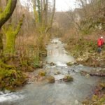 Misid Gorge in springtime