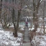 Suspended Bridge over Crisul Repede