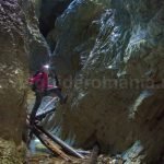 Cetatile Radesei Padis Apuseni wild