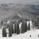 Padis Apuseni natural park
