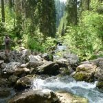 Padis Apuseni wild spring ponor glade