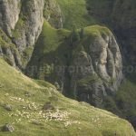 cerbului valley bucegi mountains  romania