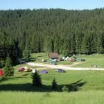 glavoi glade Padis Apuseni natural park romania