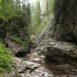 somesului cald gorges Padis Apuseni adventure wild