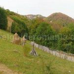 Valea bratcutei mtb biking Padurea Craiului Apuseni