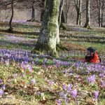 biking Damis mtb Padurea Craiului Apuseni