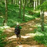 biking bratcutei valley mtb Padurea Craiului Apuseni