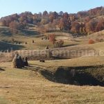 biking sinkholes farcu mtb Padurea Craiului Apuseni