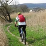 biking trail bunesti crit mtb The Hills of Transylvania