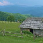 biking valea iadului ponoara mtb  Padurea Craiului Apuseni