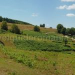biking zece hotare mtb Padurea Craiului Apuseni