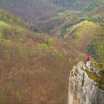 boiu valley Ponoara Padurea Craiului Apuseni