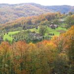 bratcutei valley mtb Padurea Craiului Apuseni