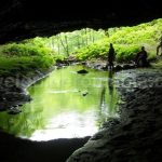 cave Padurea Craiului Apuseni