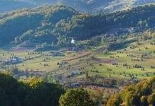 Ecotourism Destination – Padurea Craiului