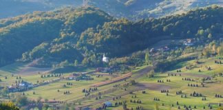 Ecotourism Destination – Padurea Craiului