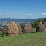 hay stacks Ponoara mtb Padurea Craiului Apuseni
