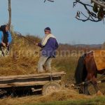 hay stacks rosia Padurea Craiului Apuseni (2)
