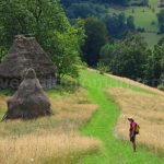 haybarn Rosia Padurea Craiului Apuseni