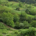 haystacks Rosia Padurea Craiului Apuseni