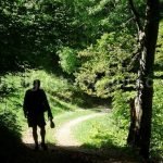 hiking valea bratcutei mtb Padurea Craiului Apuseni