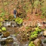 rosia karstic spring Padurea Craiului Apuseni