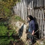 runcuri hamlet rosia Padurea Craiului Apuseni